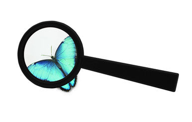 Magnifying Lens